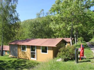 Chalet climatisé - 5 pers., animaux OK - API-1-52-2782 - 9