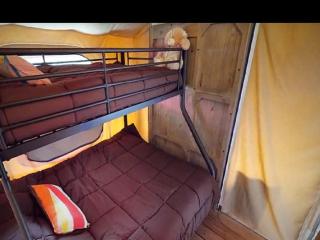 Bungalow toilé, animaux acceptés - 5 pers. - API-1-52-2781 - 5
