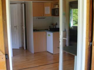 Chalet avec animaux admis - 4 pers. - API-1-52-2783 - 8