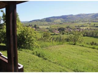 Chalet avec animaux admis - 4 pers. - API-1-52-2783 - 6
