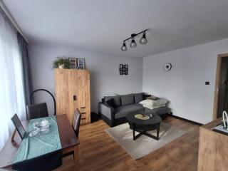 Your Apart Olsztyn Stare Miasto Centrum - 3