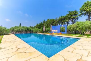 Villa Amchit - 4