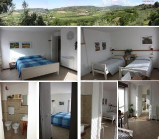 B&B Brixius - Verona - 8