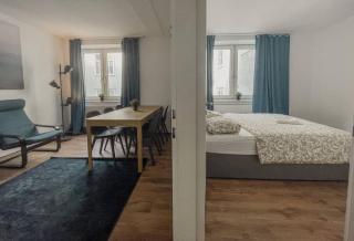 Spacious 3 rooms Flat near Messe Prater and Old City - 3