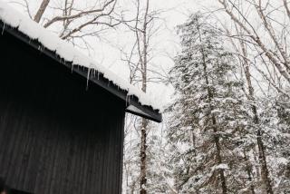 Ravens Roost- private luxury treehouse with sauna - 5