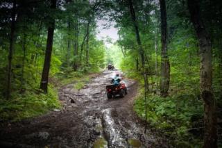 Pine Cabin- 2 Min to Lakes-Snowmobile Trails - 1