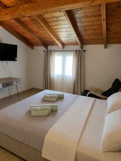 Pura Vida Suite by Fenia - 2