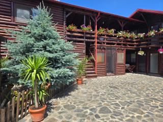 Casa Baciu - 6