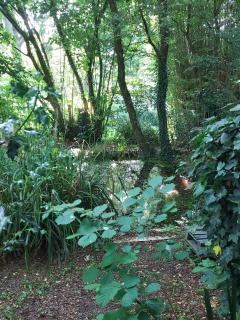 "Chambres d'Hôtes" Bord de Rance Au Rez-de-Jardin de la "Villa Cyrano" - 5