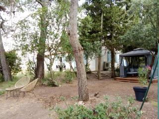 Le murmure des pins - 1