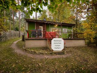 Waldidyll - Ruhe mitten im Wald - 0