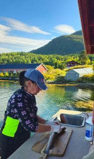 Swiss Villa - Fjord, Forest & Mountain Views - 8