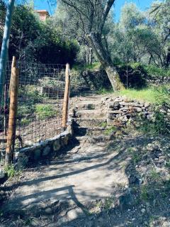 Il Rustico - 2