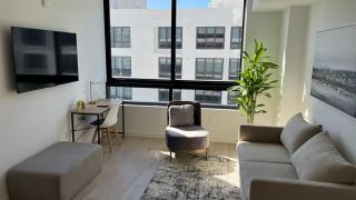 Luxery Condo in Downtown Miami 1BR 1BA 3110 - 0