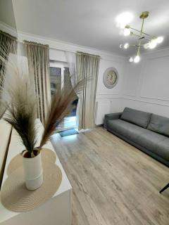 APARTAMENT FRYDRYCHOWICZA z ogródkiem przy Politechnice i Onkologii - 9