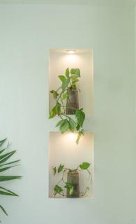 Habitación privada con alberca - 7