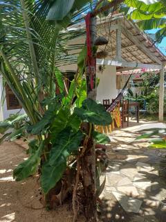 Villa Moura Pousada - 0
