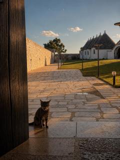 Masseria Surace - 8