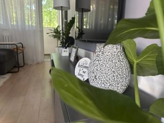 Juga lux apartment - 3