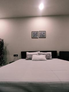 Chic Modern Flat in Jaipur - 4