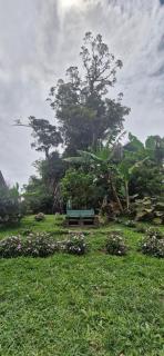 Casa del Árbol (A-Frame) - Ágape del Bosque - 3