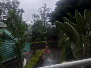 Pine Breeze Getaway Lukenya - 7