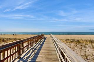 The Pelican's Nest - 7