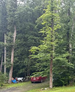 yellow creek campground - 8