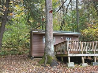 yellow creek campground - 1