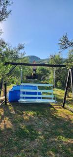 Villa Olivia - 1