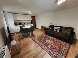 Deluxe double studio apartment in a historic house - 0