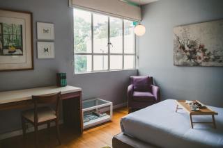 Charming flat with art & natural light in Condesa - 8