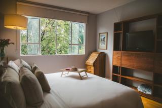 Charming flat with art & natural light in Condesa - 8