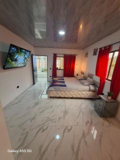 Penthouse Premium Jacuzzi, Chimenea, City view - 7