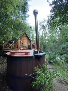 Mini Cabaña con vertiente en medio del Bosque Valdiviano - 7