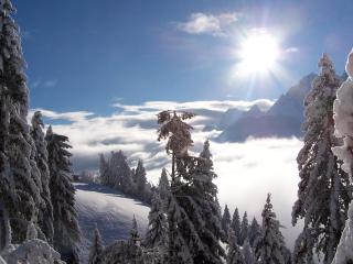 BIO Ranerhof - San Candido - 2