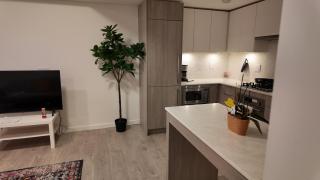 Cozy 1 bed executive suit - 5