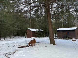 yellow creek campground - 8