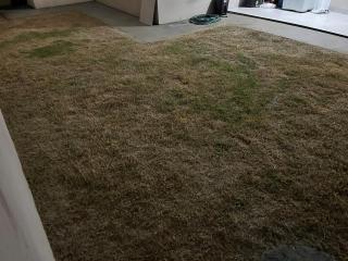 Casa Confortável perto do shopping com garagem - 7