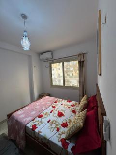 The Sonu Nest - 6