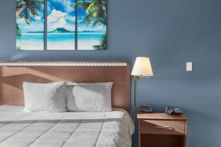 Pet-Friendly King Bed Studio with Pool and Hot Tub - 4