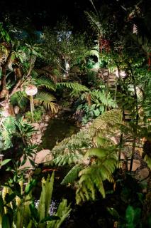 AB UBUD LUXURY VILLA - 1
