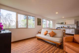 Juarez Loft 1BR1BA Terrace, Great Location - 6