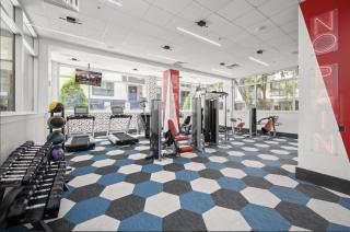 Palm Retreat Houston, Near NRG Stadium, MedCenter, Galleria - 5