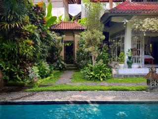 1BR Villa, AC Office & Gym, Walk to Yoga, Ubud - GAIA - 2