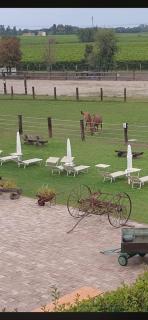 Ranch Borgo Bellavita -  - 0