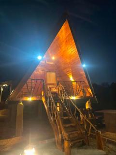 WILD Cabana - 8