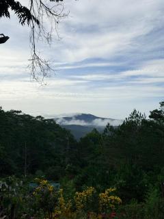 Hương Lúa Homestay Măng Đen - 6