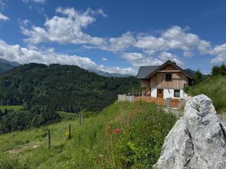 Alpenchalet Sonnberg - 0