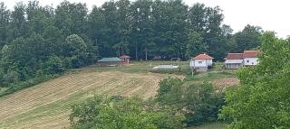 Brusnica konaci - 6